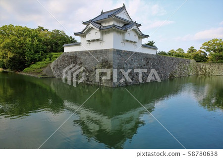 Sunpu Castle 58780638