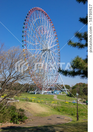 葛西臨海公園櫻花 葛西臨海公園櫻花 58780927