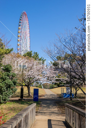 葛西臨海公園櫻花 葛西臨海公園櫻花 58780931