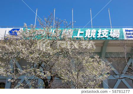 Edogawa-ku Athletic Stadium (Sakura) Edogawa-ku Athletic Stadium (Sakura) 58781277