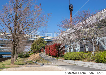 Edogawa-ku Athletic Stadium (Sakura) Edogawa-ku Athletic Stadium (Sakura) 58781278