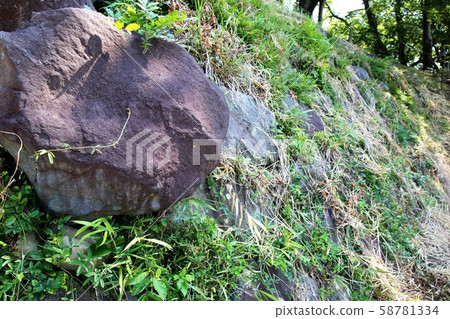 興國際寺 興國際寺 58781334