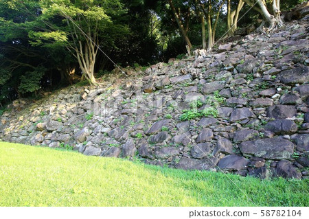 Ishigakiyama 58782104