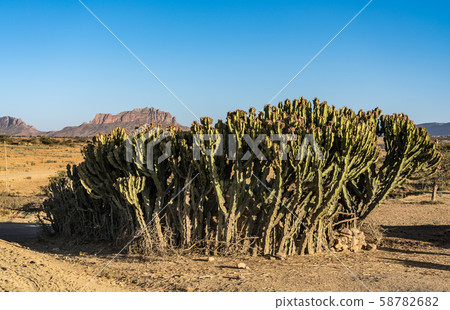 Landscape in Gheralta near Abraha Asbaha in Northern Ethiopia, Africa Landscape in Gheralta near Abraha Asbaha in Northern Ethiopia, Africa 58782682