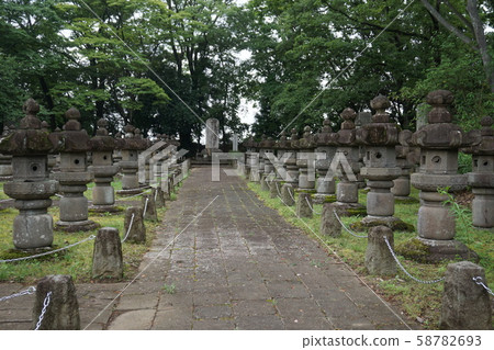 約會家庭墓 約會家庭墓 58782693