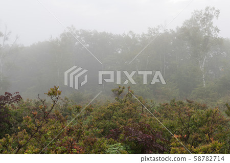 一之瀨花園Norikura Kogen 58782714