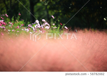 Autumn trip, autumn Autumn trip, autumn 58782882