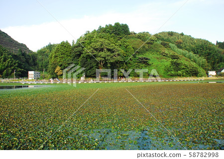 Whalegaike Pond and its surroundings (Nada Ward, Shizuoka City) Whalegaike Pond and its surroundings (Nada Ward, Shizuoka City) 58782998