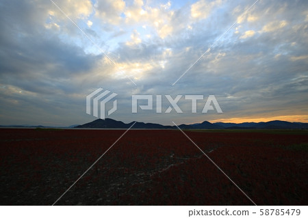 Autumn, autumn 58785479