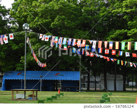 The national flag The national flag 58786124