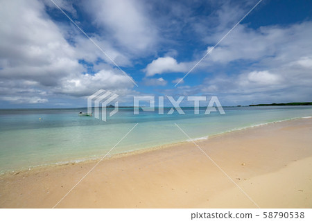 沖繩Bisezaki海灘浮潛點 沖繩Bisezaki海灘浮潛點 58790538