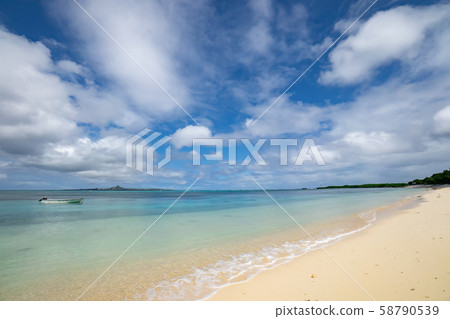 沖繩Bisezaki海灘浮潛點 沖繩Bisezaki海灘浮潛點 58790539