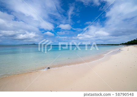 沖繩Bisezaki海灘浮潛點 沖繩Bisezaki海灘浮潛點 58790548