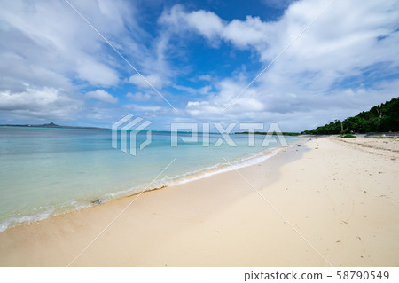 沖繩Bisezaki海灘浮潛點 沖繩Bisezaki海灘浮潛點 58790549