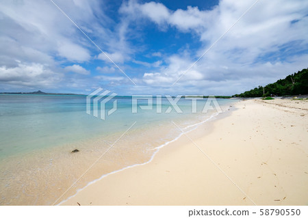 沖繩Bisezaki海灘浮潛點 沖繩Bisezaki海灘浮潛點 58790550