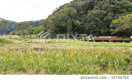 Oami generation (autumn) 58790768