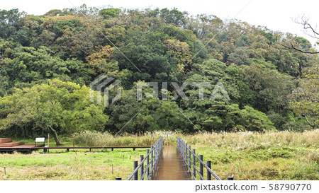 Oami generation (autumn) 58790770