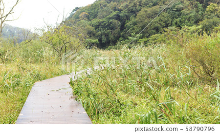 Oami generation (autumn) Oami generation (autumn) 58790796