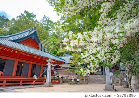 Nikko Futarayama Shrine Nakamiya Pass 58792890