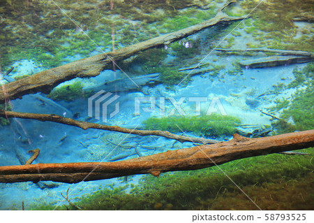 God's Child Pond 13 God's Child Pond 13 58793525
