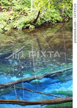 上帝的孩子的池塘16 上帝的孩子的池塘16 58793528