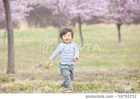 在櫻花樹下 58793752