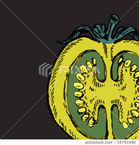 Set of hand drawn tomato. Organic eco food. - Stock Illustration ...