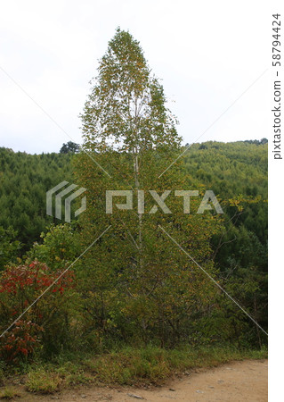 元田里仁濟邑仁濟郡 元田里仁濟邑仁濟郡 58794424