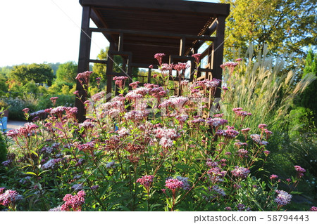 Scented Sprouts 58794443