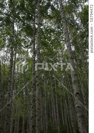 Inje-gun, Inje-eup, Wondae-ri 58794472