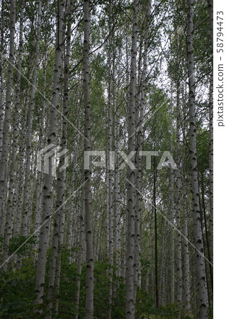 Inje-gun, Inje-eup, Wondae-ri 58794473