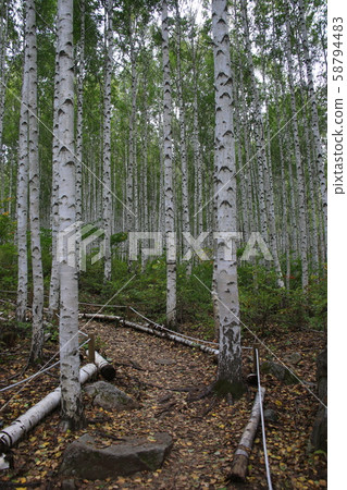 Inje-gun, Inje-eup, Wondae-ri 58794483