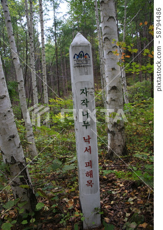 Inje-gun, Inje-eup, Wondae-ri Inje-gun, Inje-eup, Wondae-ri 58794486