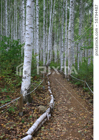 Inje-gun, Inje-eup, Wondae-ri 58794487