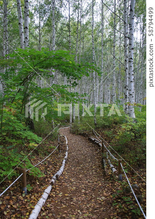 Inje-gun, Inje-eup, Wondae-ri 58794499