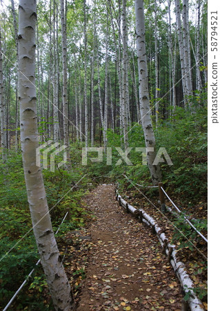 Inje-gun, Inje-eup, Wondae-ri Inje-gun, Inje-eup, Wondae-ri 58794521