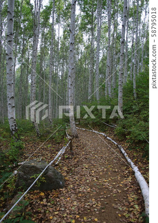 Inje-gun, Inje-eup, Wondae-ri 58795018