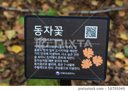 Inje-gun, Inje-eup, Wondae-ri Inje-gun, Inje-eup, Wondae-ri 58795040