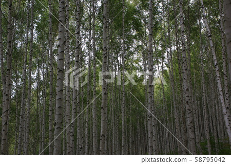 元田里仁濟邑仁濟郡 58795042