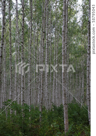 元田里仁濟邑仁濟郡 58795043