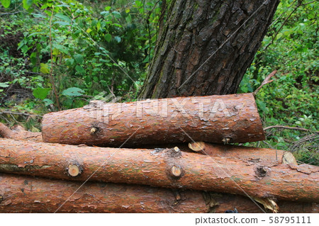 Inje-gun, Inje-eup, Wondae-ri 58795111