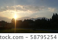 Rays 58795254
