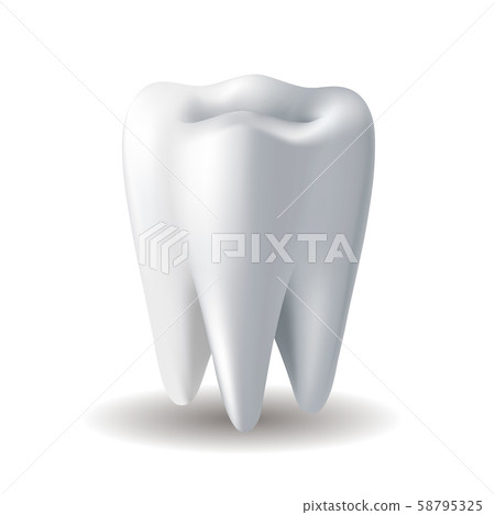 Realistic white Tooth isolated on white background - Stock Illustration ...