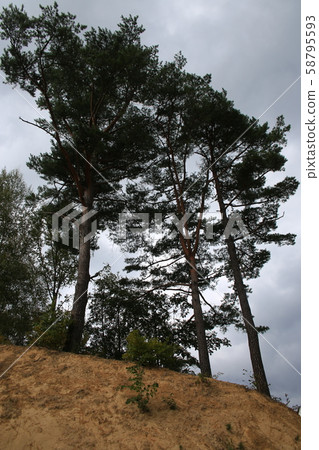 Inje-gun, Inje-eup, Wondae-ri 58795593