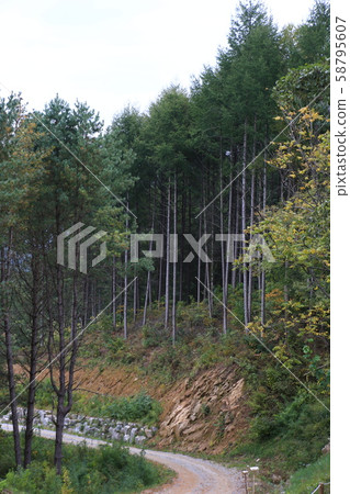 元田里仁濟邑仁濟郡 58795607