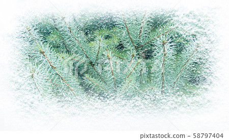 Winter fir tree covered with snowfall banner 58797404