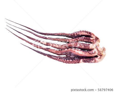 Jumbo flying squid or pota or Dosidicus gigas arms 58797406
