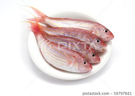 Threadfin bream 58797681