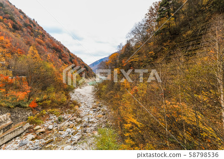Beautiful autumn leaves of Takase Gorge in Beautiful autumn leaves of Takase Gorge in 58798536