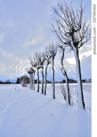 Winter countryside 58799369